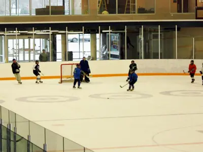 hockey players in an arena