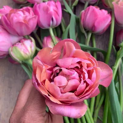 A bouquet of pink flowers