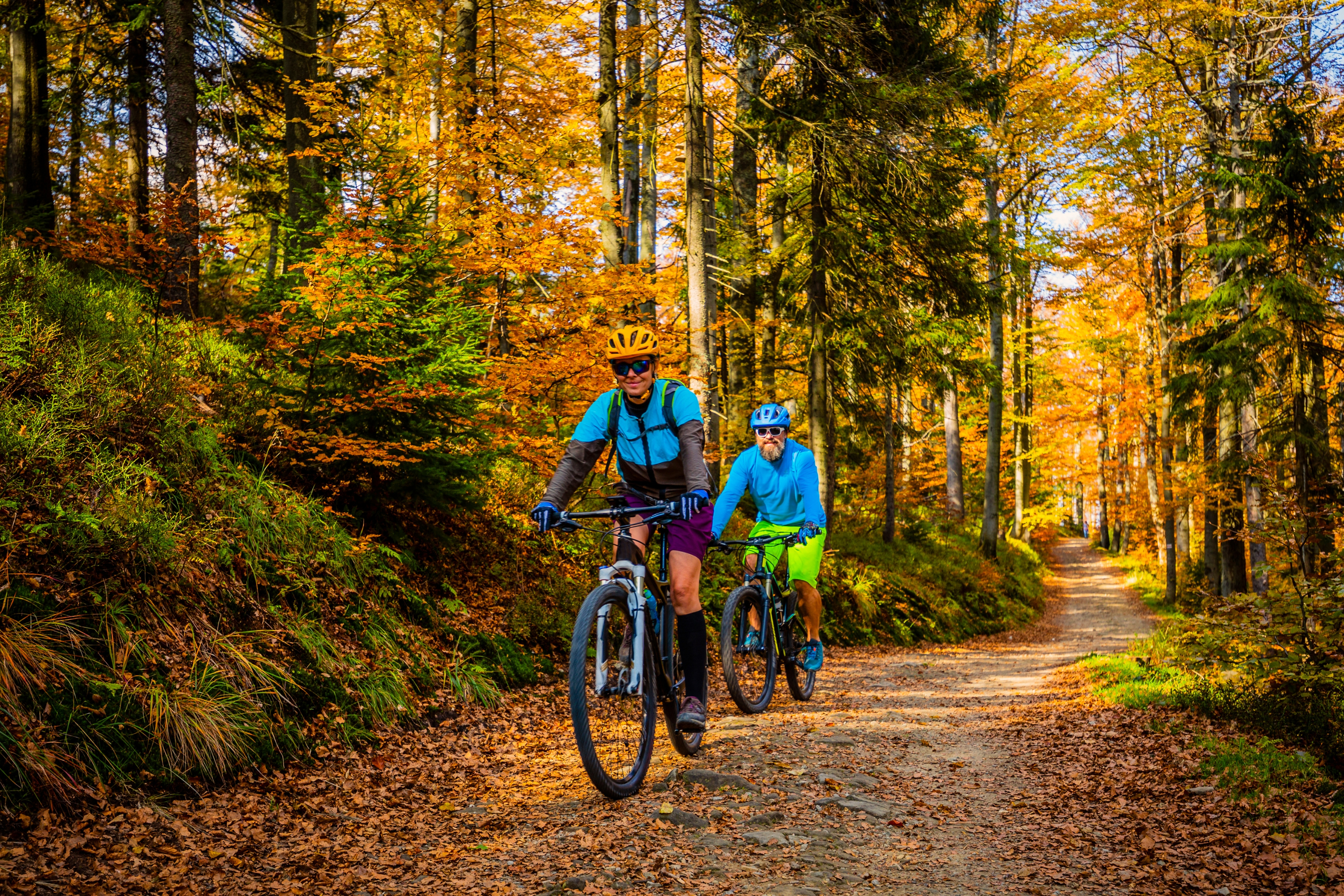 Biking through the forest in the fall