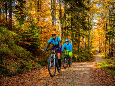 Biking through the forest in the fall