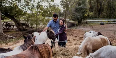 Couple petting horses