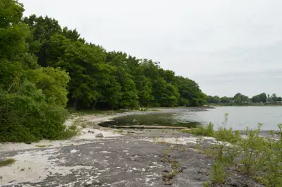 Beachscape at Rock Point Provincial Park