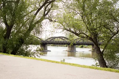 View between trees of Caledonia Bridge at Kinsmen Park