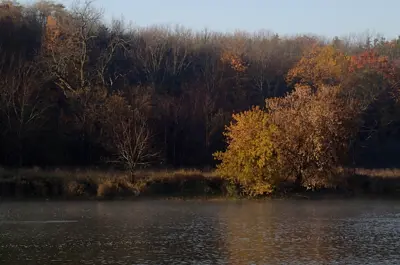 A river with golden coloured fall trees in the background