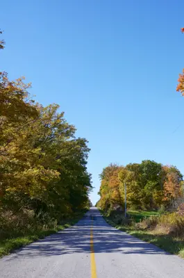 A road run through brightly coloured trees in fall